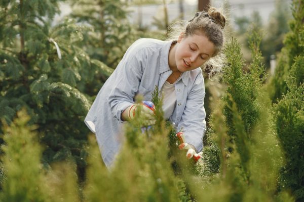 Compost Accelerator Services